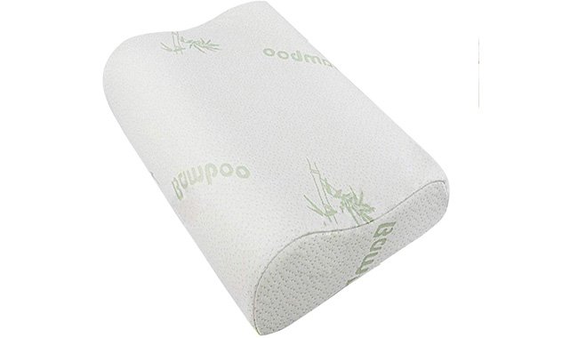 Ecosafeter Contour Memory Foam Pillow