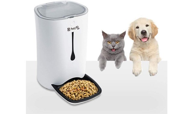 Puppy Kitty Automatic Feeder