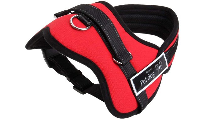 Aulola Soft Padded Dog Harness