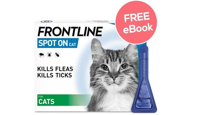 Frontline Spot On for Cats
