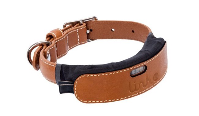 Link AKC Smart Dog Collar with GPS Tracker & Activity Monitor