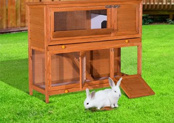 10 Best Rabbit Hutches in 2026