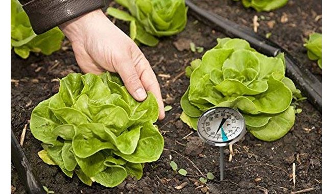 SmartChoice Premium Stainless Steel Soil Thermometer