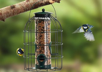 8 Best Squirrel Proof Bird Feeders in 2026