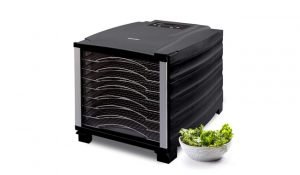 BioChef Arizona Food Dehydrator