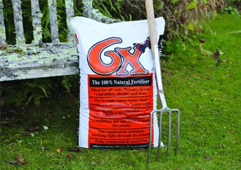 10 Best Lawn Feeds in 2026
