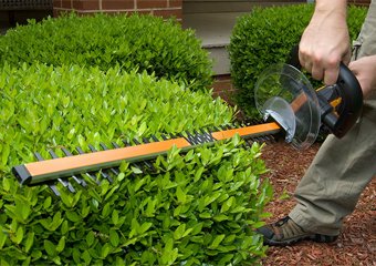 How to Cut Hedges