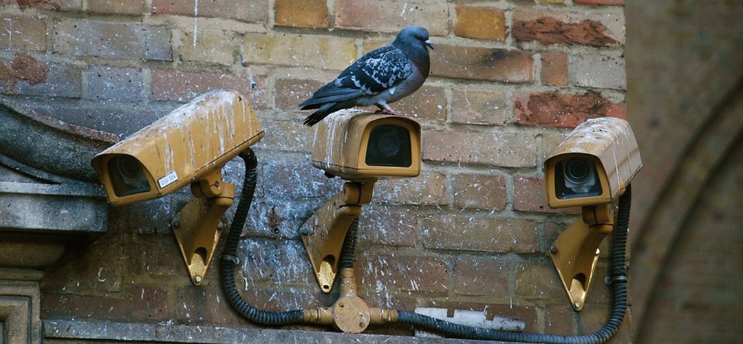 Best Dummy CCTV Cameras Banner Image