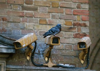 10 Best Dummy CCTV Cameras in 2026