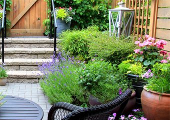 Garden Décor Ideas